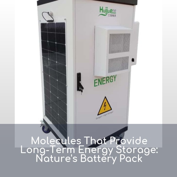 Molecules That Provide Long-Term Energy Storage: Nature's Battery Pack